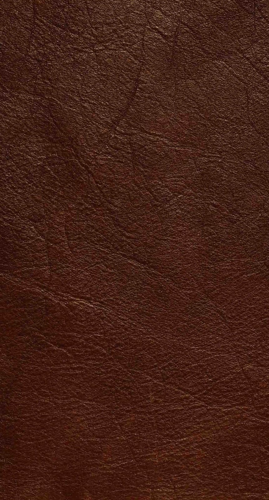 Textura del cuero LIVI